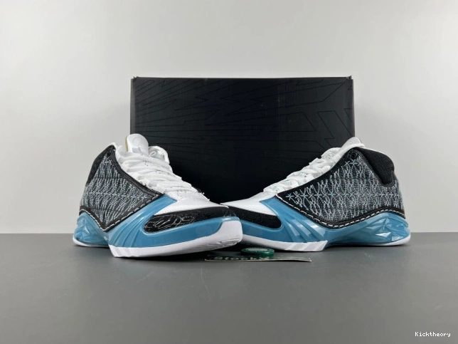 Kick Theory 23 Jordan UNC 318376-041 0812